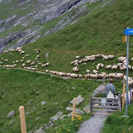 Inn Berghaus Baregg