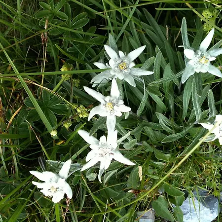 Berghaus Baregg Мініготель