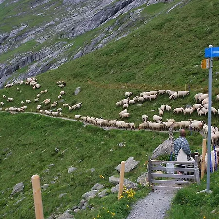 بيت ريفي Berghaus Baregg