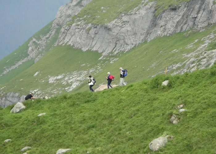 Berghaus Baregg * 格林德瓦